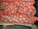 фото Оптовая продажа картофеля в Свердловской области.