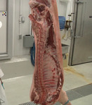 фото Свинина — полутуши 2 категории охлажденное / замороженное мясо (молодняк)